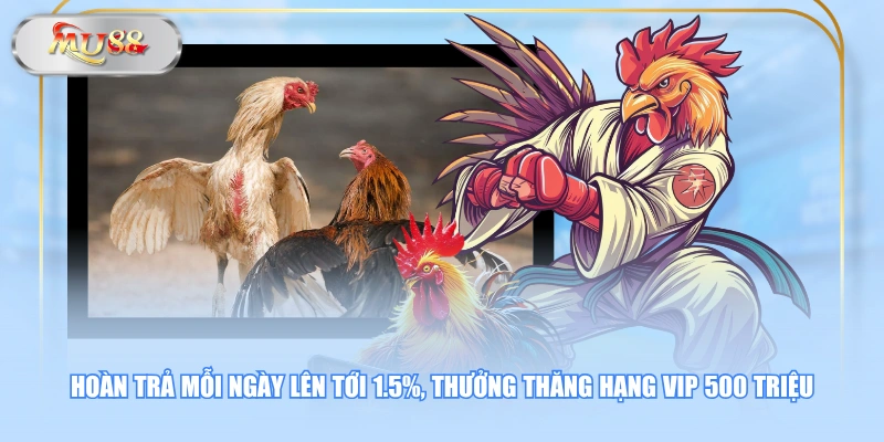 Hoàn trả mỗi ngày lên tới 1.5%, thưởng thăng hạng VIP 500 triệu 